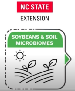 Cover photo for NC State's on-Farm Soybean Trials